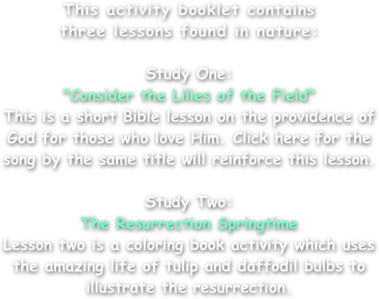 This activity booklet contains
three lessons found in nature:

Study One:
"Consider the Lilies of the Field"
This is a short Bible lesson on the providence of God for those who love Him. Click here for the song by the same title will reinforce this lesson.

Study Two:
The Resurrection Springtime
Lesson two is a coloring book activity which uses the amazing life of tulip and daffodil bulbs to illustrate the resurrection.