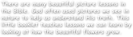 There are many beautiful picture lessons in the Bible. God often used pictures we see in nature to help us understand His truth. This little booklet teaches lessons we can learn by looking at how the beautiful flowers grow.