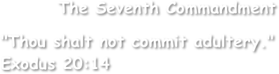        The Seventh Commandment

"Thou shalt not commit adultery." Exodus 20:14