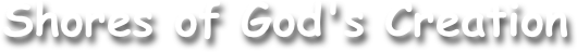 Shores of God's Creation