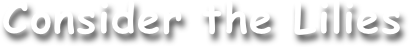 Consider the Lilies
