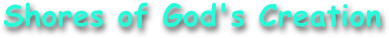 Shores of God's Creation