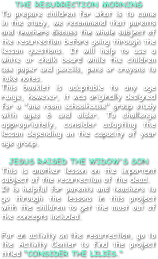 THE RESURRECTION MORNING
To prepare children for what is to come in the study, we recommend that parents and teachers discuss the whole subject of the resurrection before going through the lesson questions. It will help to use a white or chalk board while the children use paper and pencils, pens or crayons to take notes.
This booklet is adaptable to any age range, however, it was originally designed for a "one room schoolhouse" group study with ages 6 and older. To challenge appropriately, consider adapting the lesson depending on the capacity of your age group.

JESUS RAISED THE WIDOW'S SON
This is another lesson on the important subject of the resurrection of the dead.
It is helpful for parents and teachers to go through the lessons in this project with the children to get the most out of the concepts included.

For an activity on the resurrection, go to the Activity Center to find the project titled "CONSIDER THE LILIES."